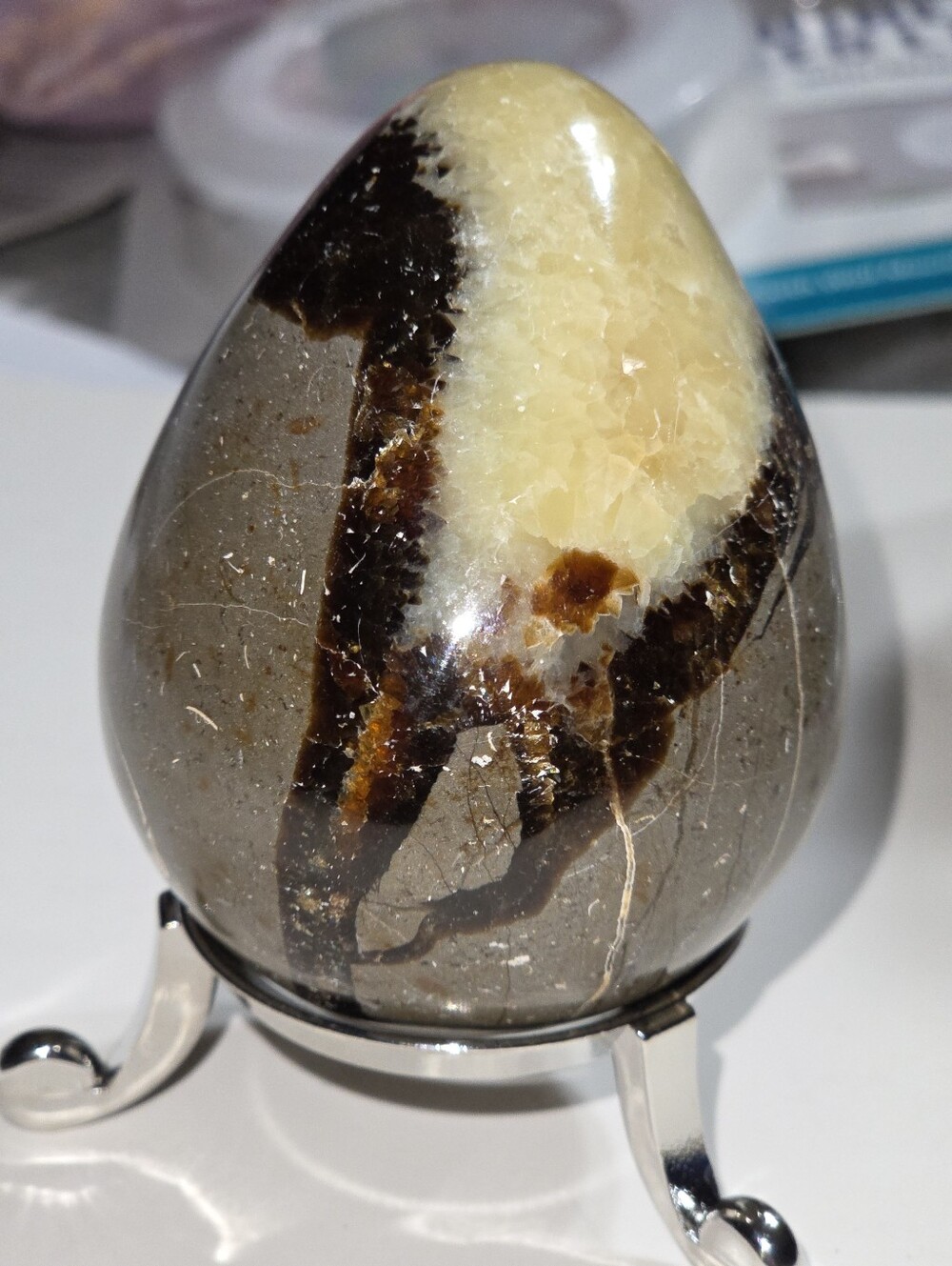 Polished Septarian Calcite "Dragon Stone" Egg - Picture 4 of 14